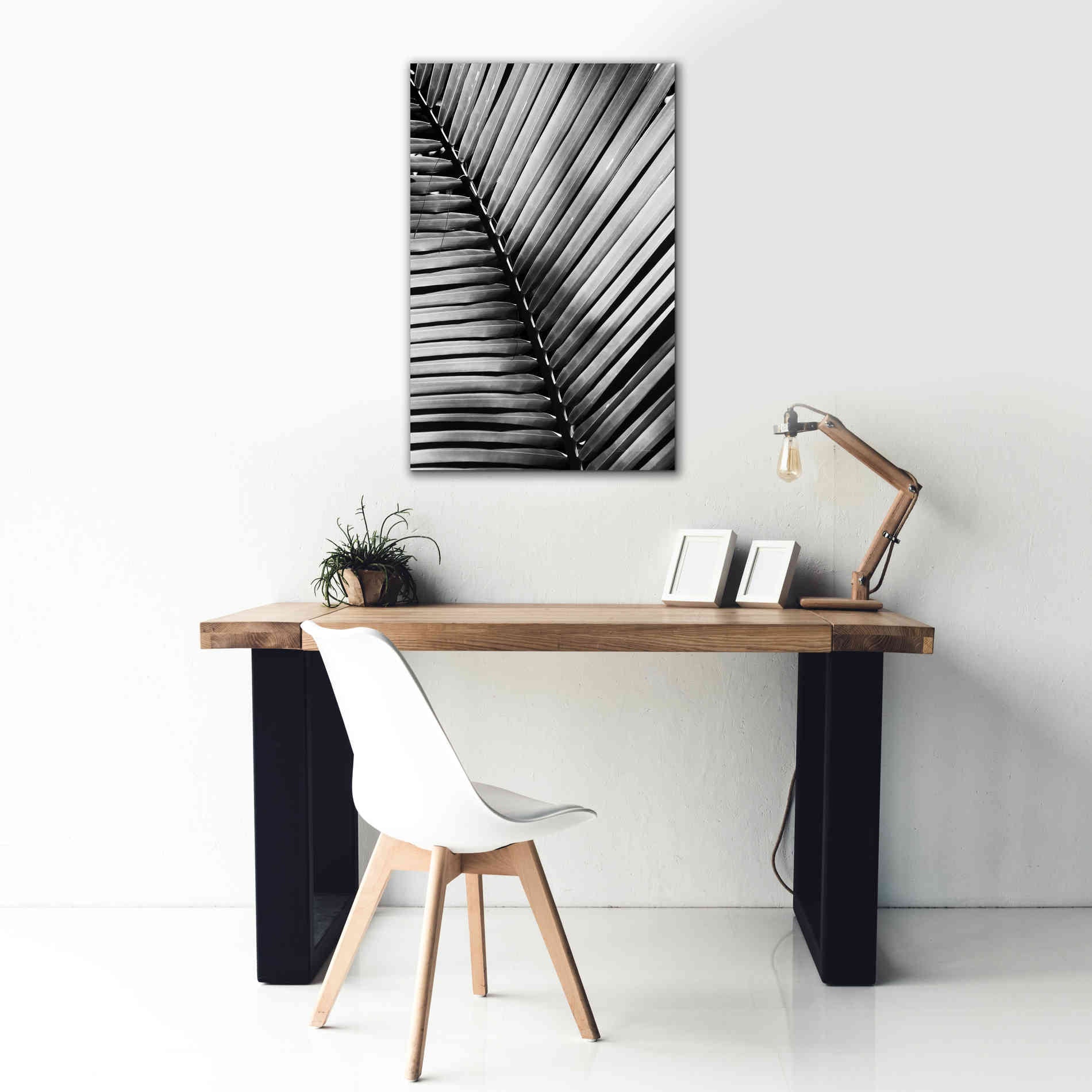 'Palm Frond I' by Debra Van Swearingen, Canvas Wall Art,26 x 40