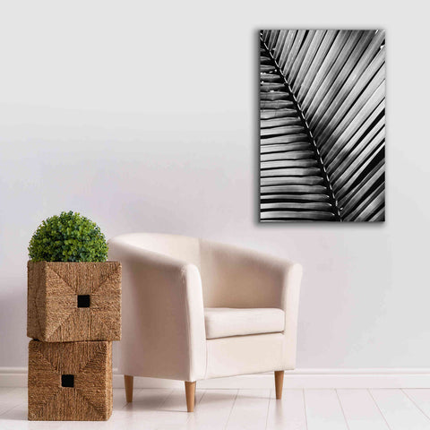 Image of 'Palm Frond I' by Debra Van Swearingen, Canvas Wall Art,26 x 40