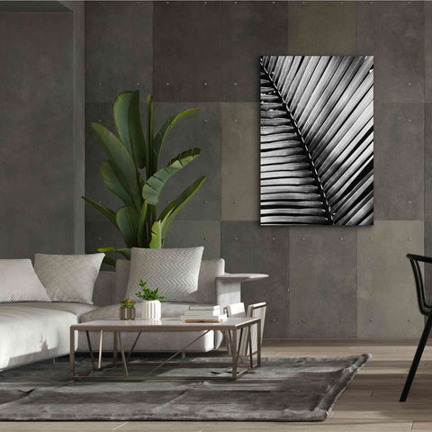 Image of 'Palm Frond I' by Debra Van Swearingen, Canvas Wall Art,40 x 60