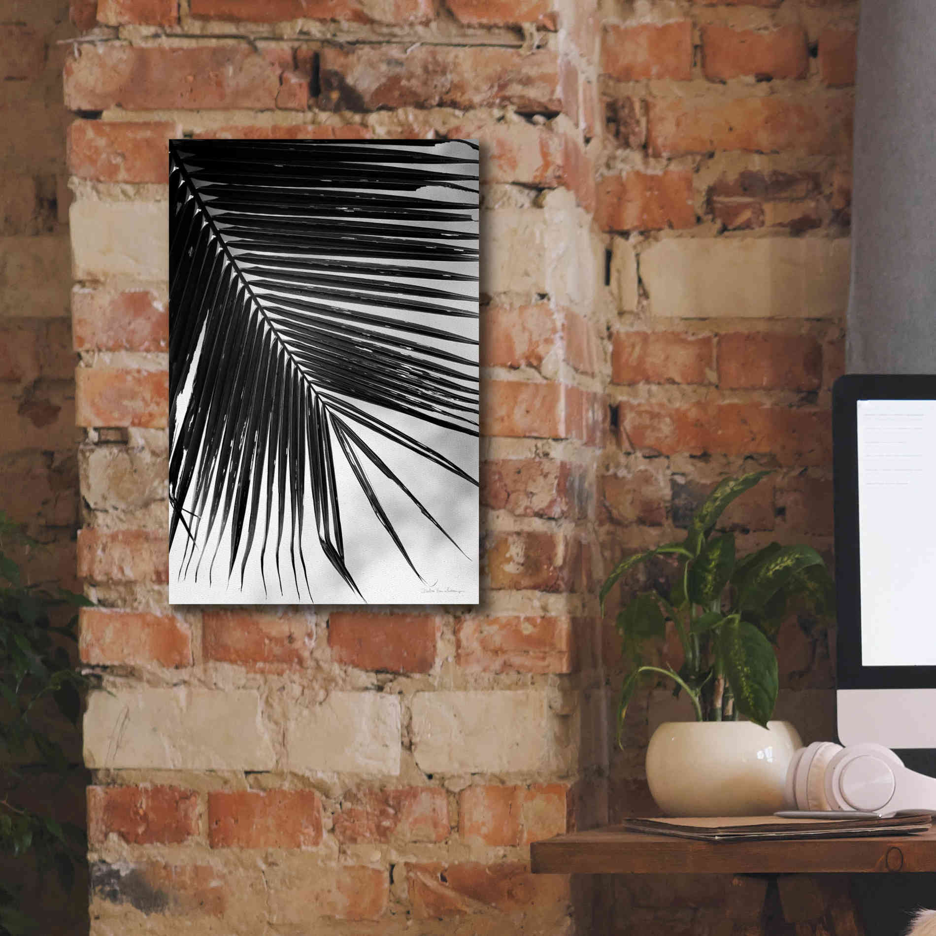 'Palm Frond II' by Debra Van Swearingen, Canvas Wall Art,12 x 18