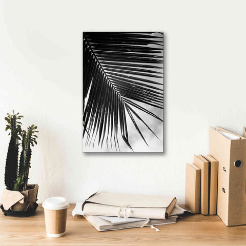 Image of 'Palm Frond II' by Debra Van Swearingen, Canvas Wall Art,12 x 18