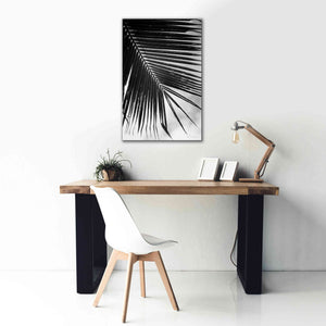 'Palm Frond II' by Debra Van Swearingen, Canvas Wall Art,26 x 40