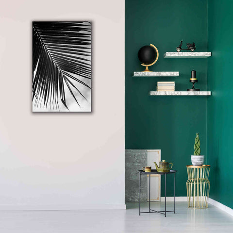 Image of 'Palm Frond II' by Debra Van Swearingen, Canvas Wall Art,26 x 40