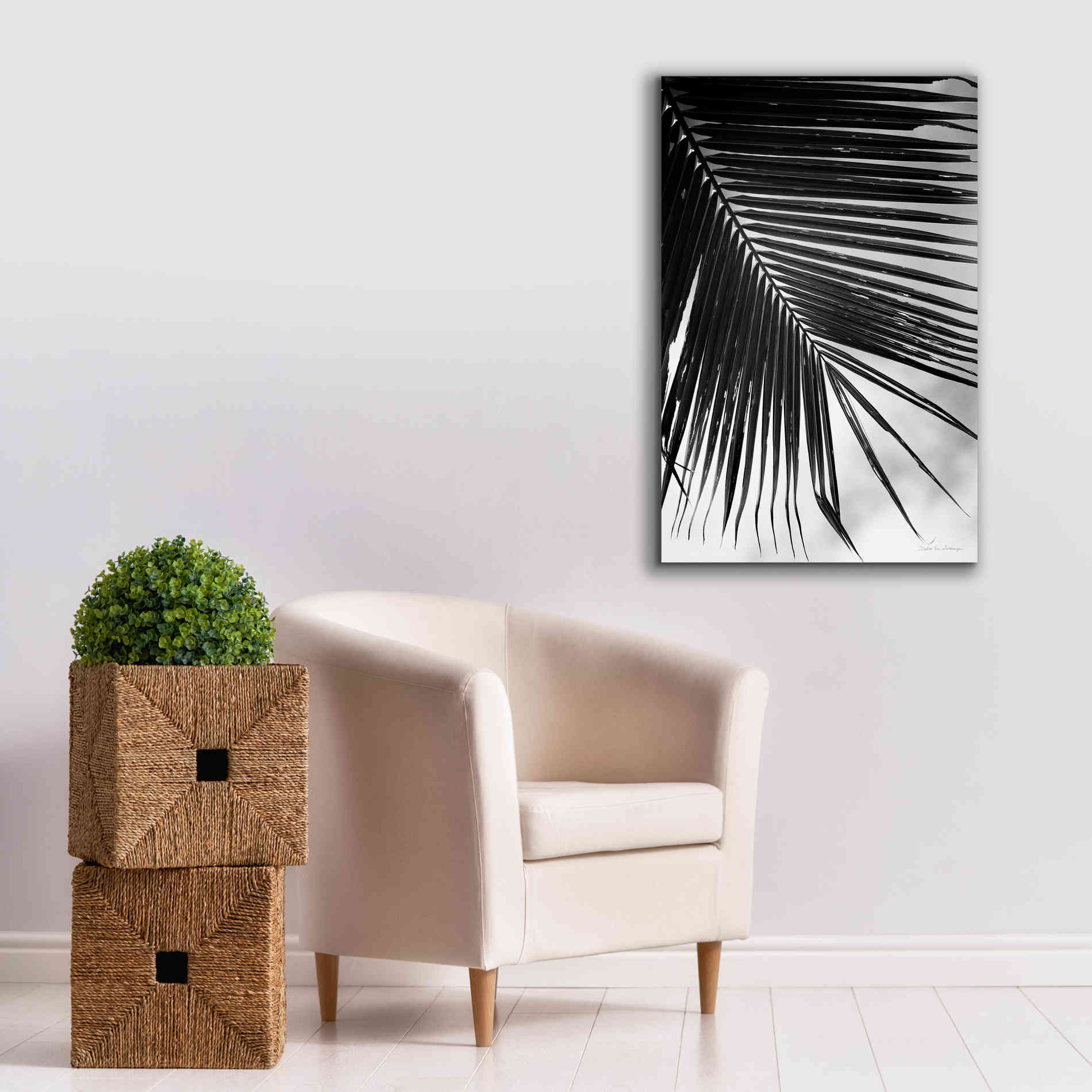 'Palm Frond II' by Debra Van Swearingen, Canvas Wall Art,26 x 40