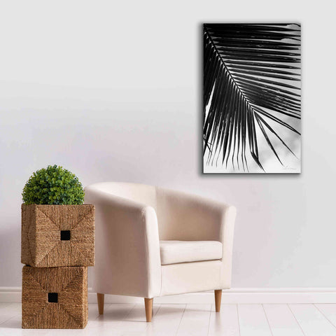 Image of 'Palm Frond II' by Debra Van Swearingen, Canvas Wall Art,26 x 40