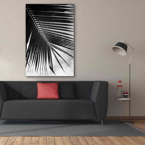 Image of 'Palm Frond II' by Debra Van Swearingen, Canvas Wall Art,40 x 60