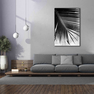 'Palm Frond II' by Debra Van Swearingen, Canvas Wall Art,40 x 60