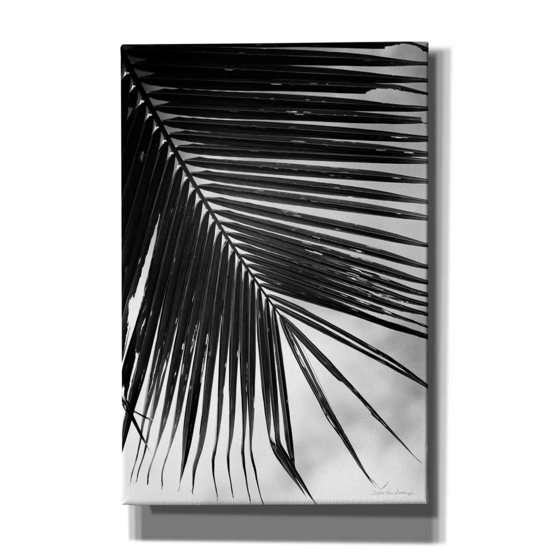 'Palm Frond II' by Debra Van Swearingen, Canvas Wall Art,12x18x1.1x0,18x26x1.1x0,26x40x1.74x0,40x60x1.74x0