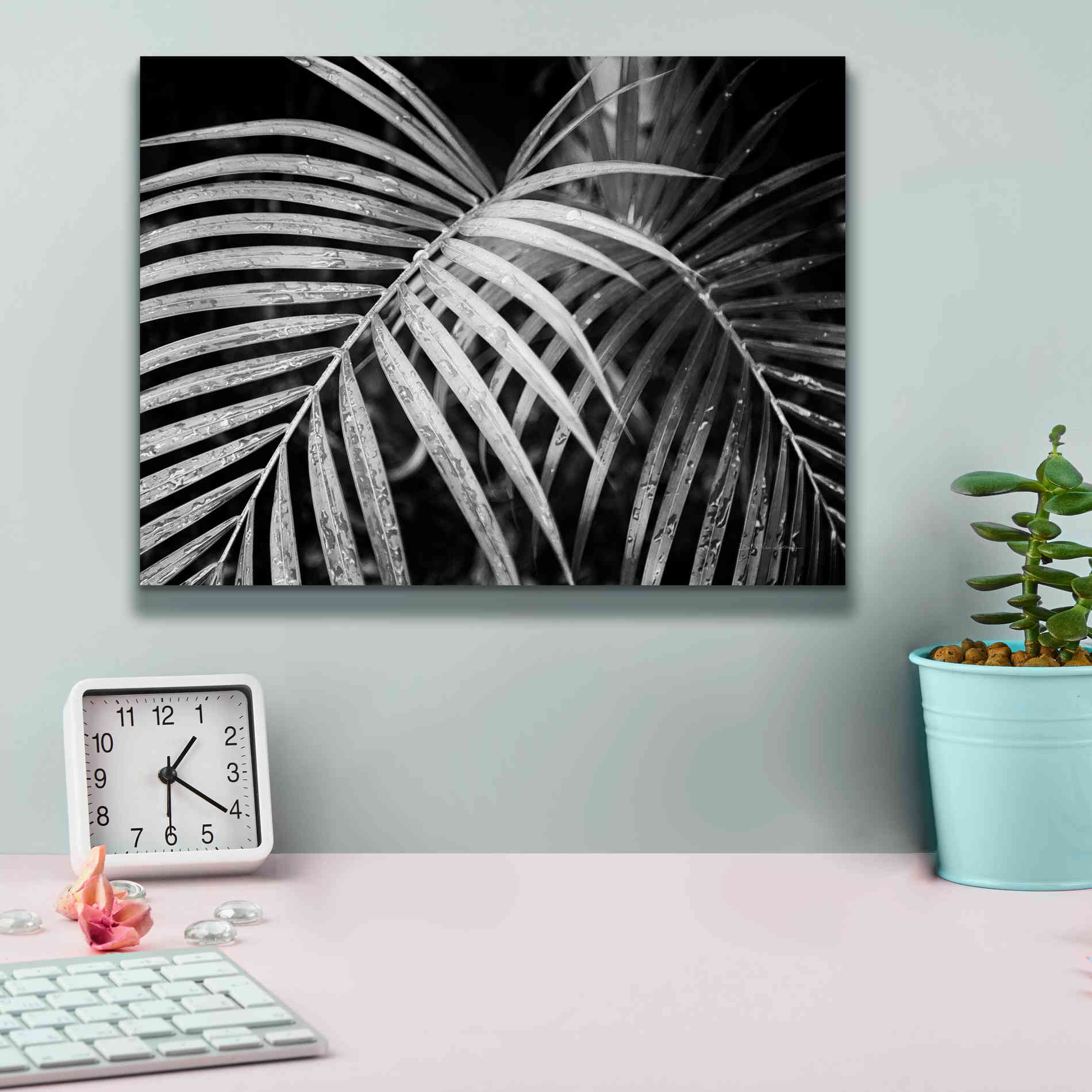 'Palm Fronds' by Debra Van Swearingen, Canvas Wall Art,16 x 12
