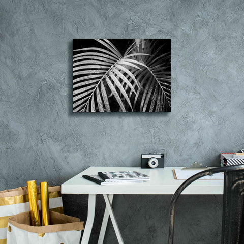 Image of 'Palm Fronds' by Debra Van Swearingen, Canvas Wall Art,16 x 12