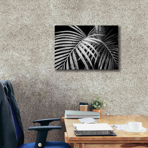 Image of 'Palm Fronds' by Debra Van Swearingen, Canvas Wall Art,26 x 18