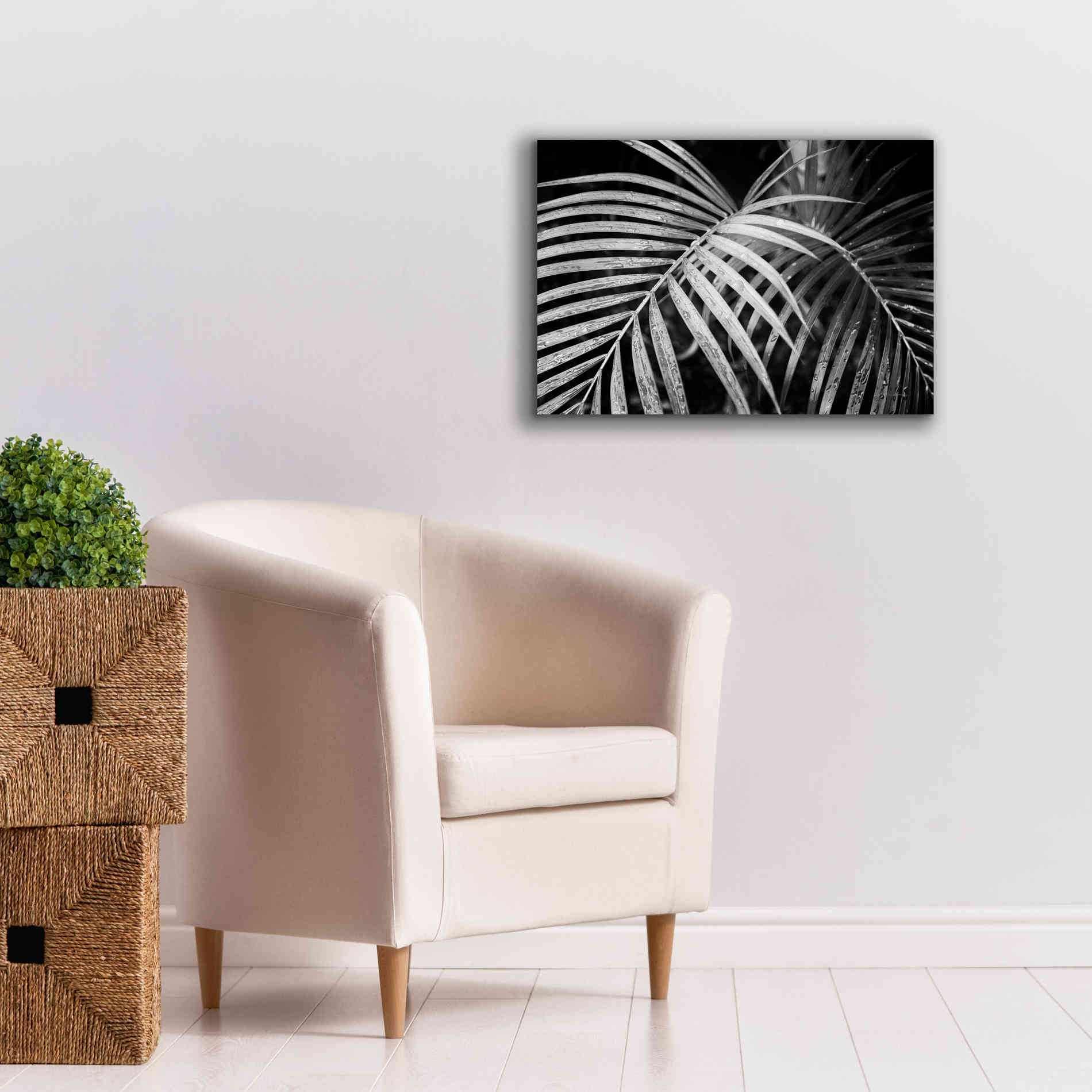 'Palm Fronds' by Debra Van Swearingen, Canvas Wall Art,26 x 18