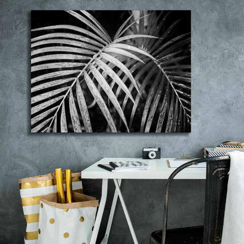 Image of 'Palm Fronds' by Debra Van Swearingen, Canvas Wall Art,34 x 26