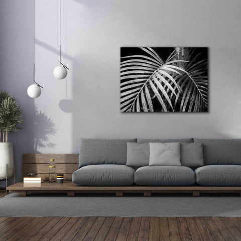 Image of 'Palm Fronds' by Debra Van Swearingen, Canvas Wall Art,54 x 40