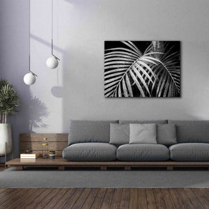 'Palm Fronds' by Debra Van Swearingen, Canvas Wall Art,54 x 40