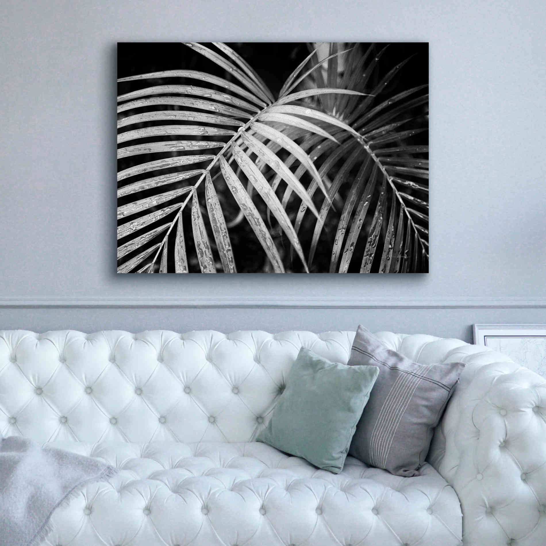 'Palm Fronds' by Debra Van Swearingen, Canvas Wall Art,54 x 40