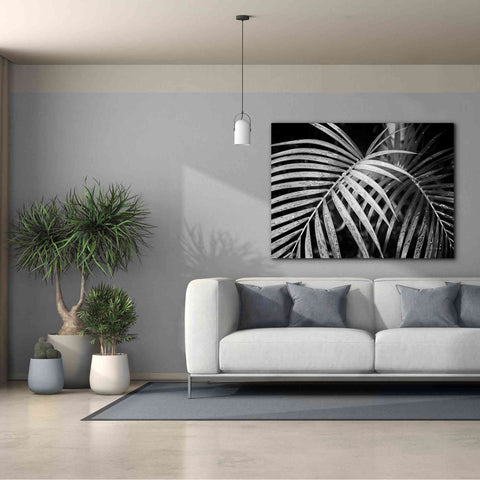 Image of 'Palm Fronds' by Debra Van Swearingen, Canvas Wall Art,54 x 40