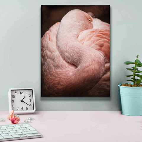 Image of 'Chilean Flamingo I' by Debra Van Swearingen, Canvas Wall Art,12 x 16