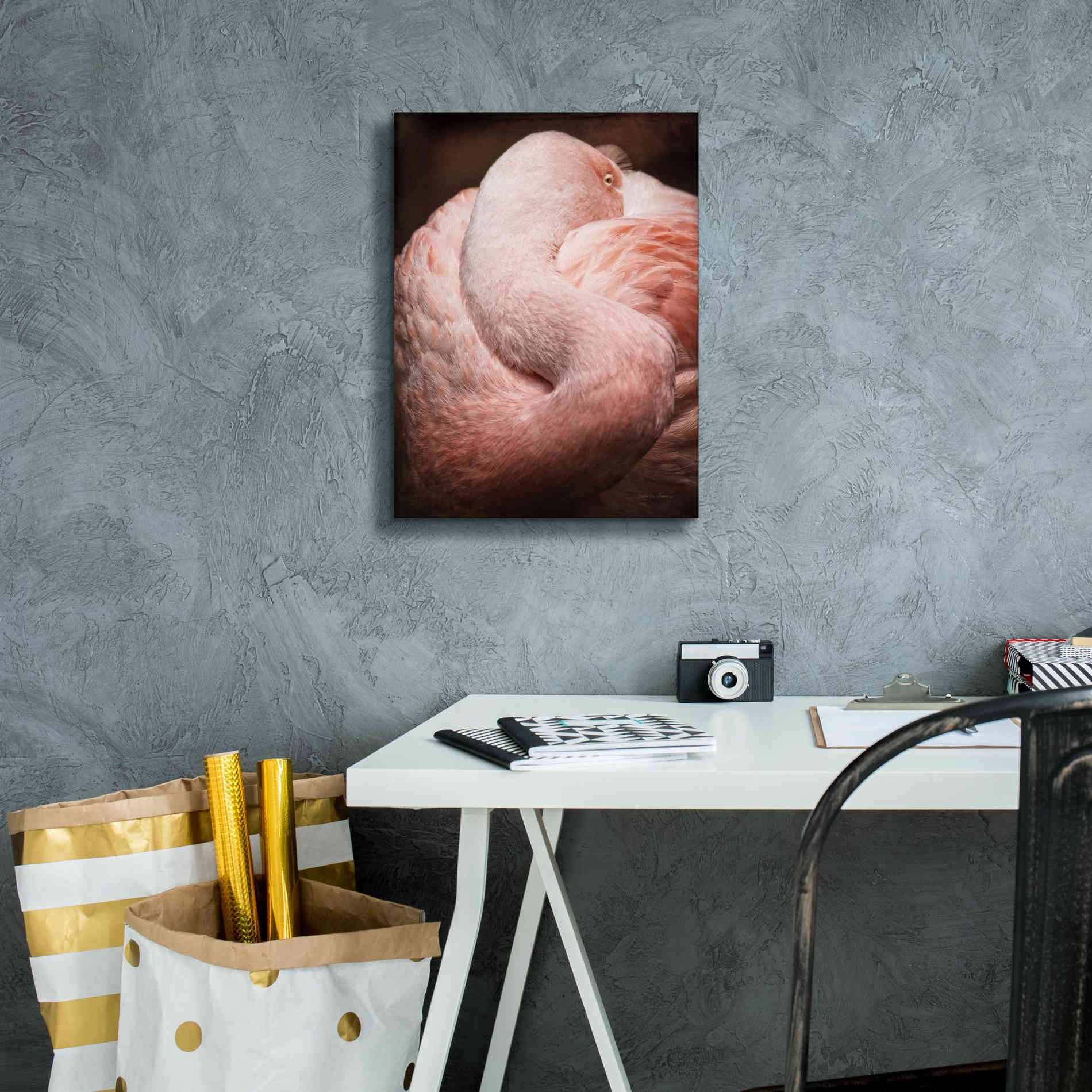 'Chilean Flamingo I' by Debra Van Swearingen, Canvas Wall Art,12 x 16