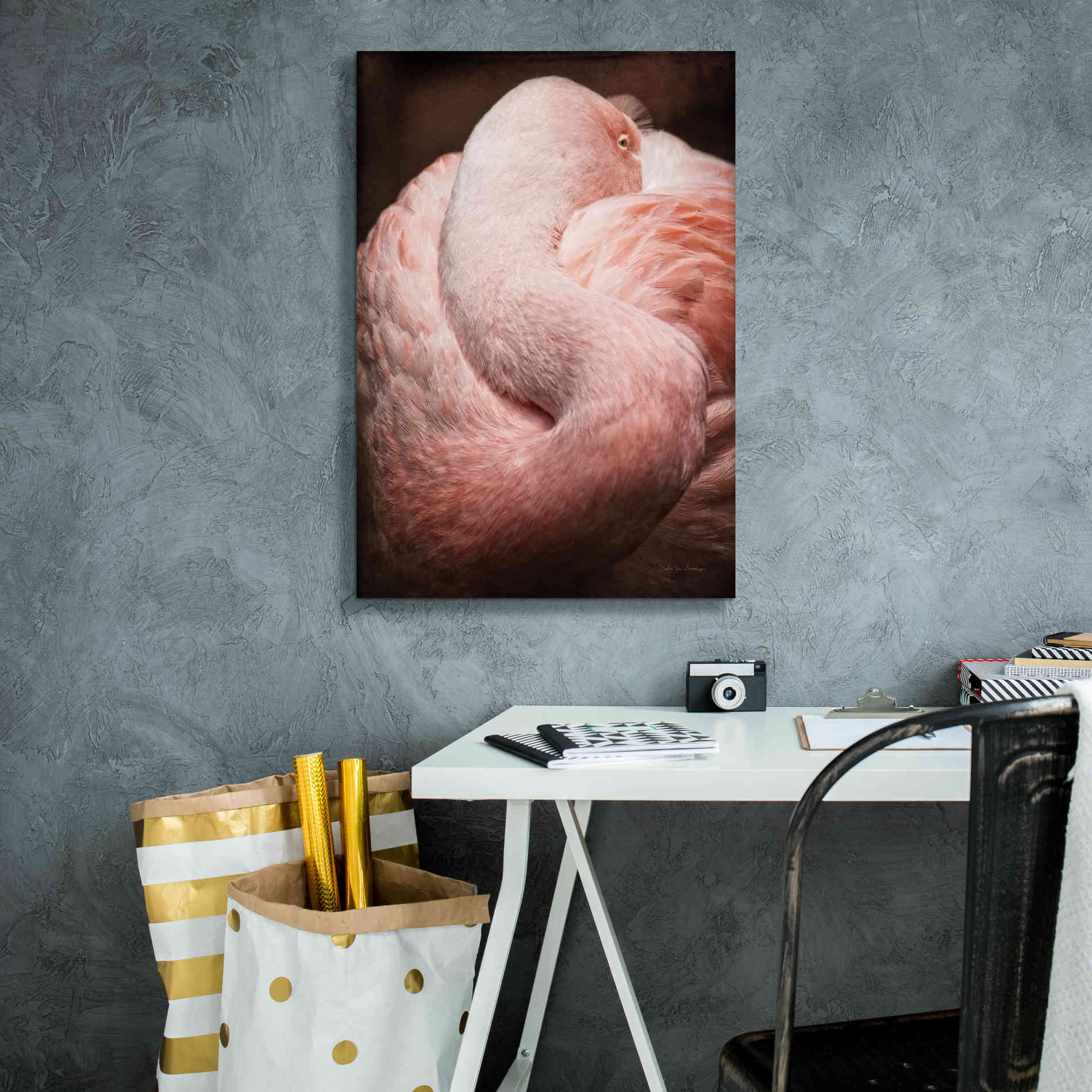 'Chilean Flamingo I' by Debra Van Swearingen, Canvas Wall Art,18 x 26
