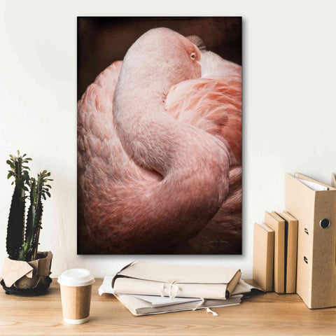 Image of 'Chilean Flamingo I' by Debra Van Swearingen, Canvas Wall Art,18 x 26