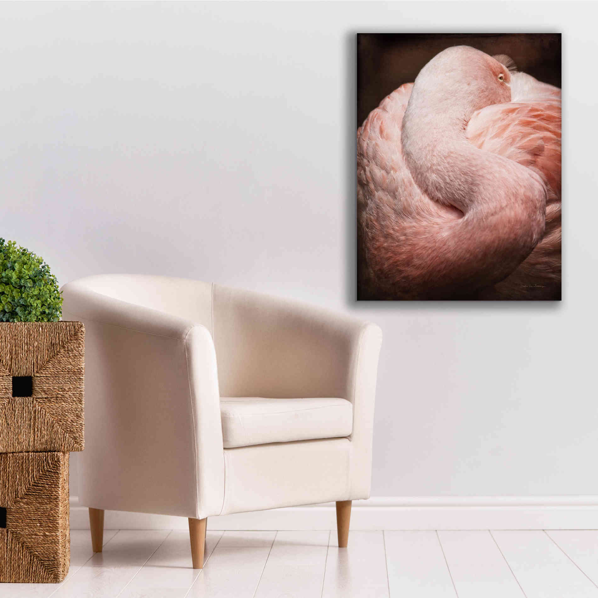 'Chilean Flamingo I' by Debra Van Swearingen, Canvas Wall Art,26 x 34