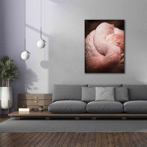 Image of 'Chilean Flamingo I' by Debra Van Swearingen, Canvas Wall Art,40 x 54