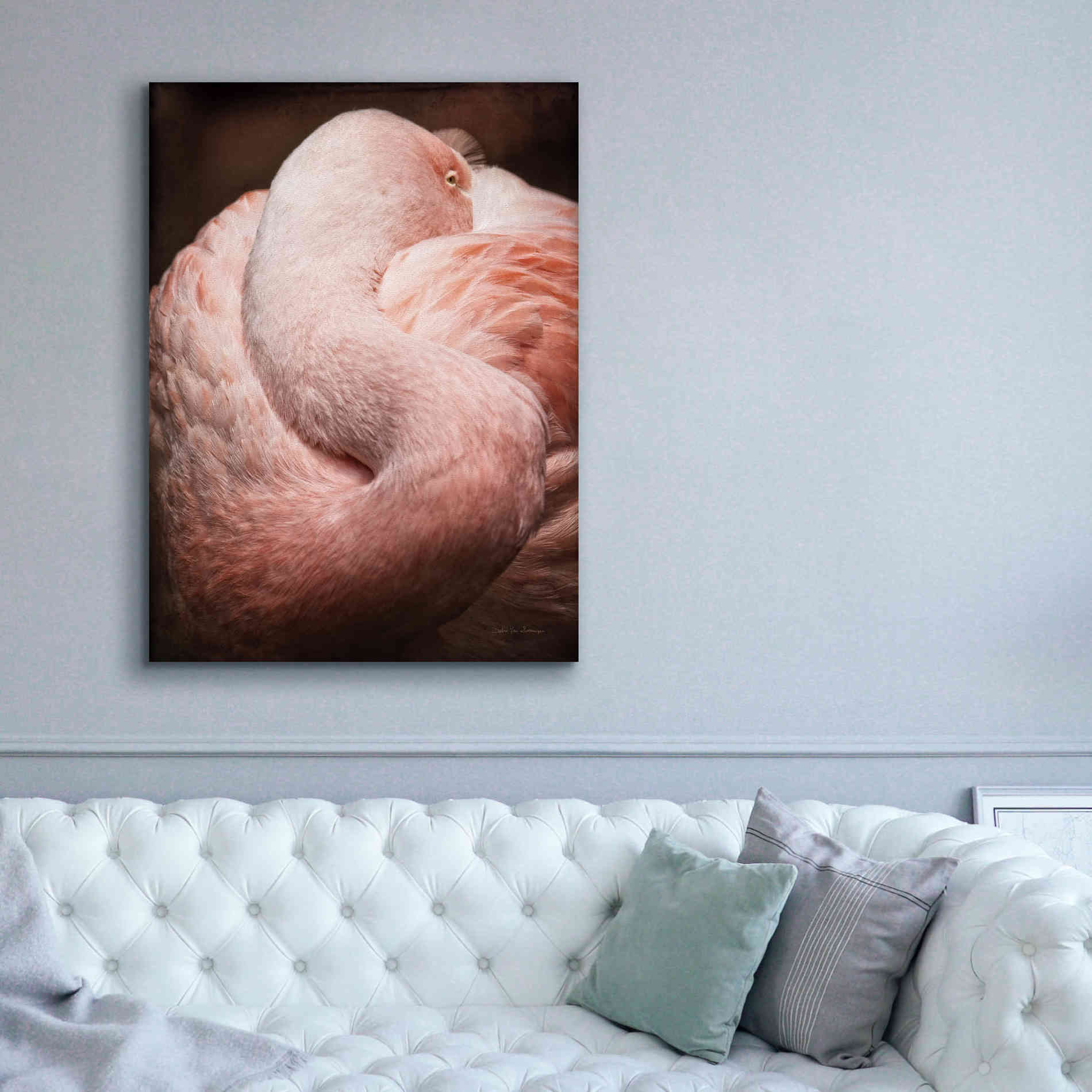 'Chilean Flamingo I' by Debra Van Swearingen, Canvas Wall Art,40 x 54