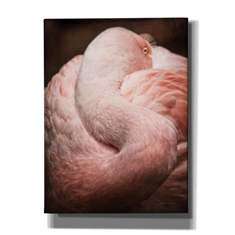 Image of 'Chilean Flamingo I' by Debra Van Swearingen, Canvas Wall Art,12x16x1.1x0,18x26x1.1x0,26x34x1.74x0,40x54x1.74x0