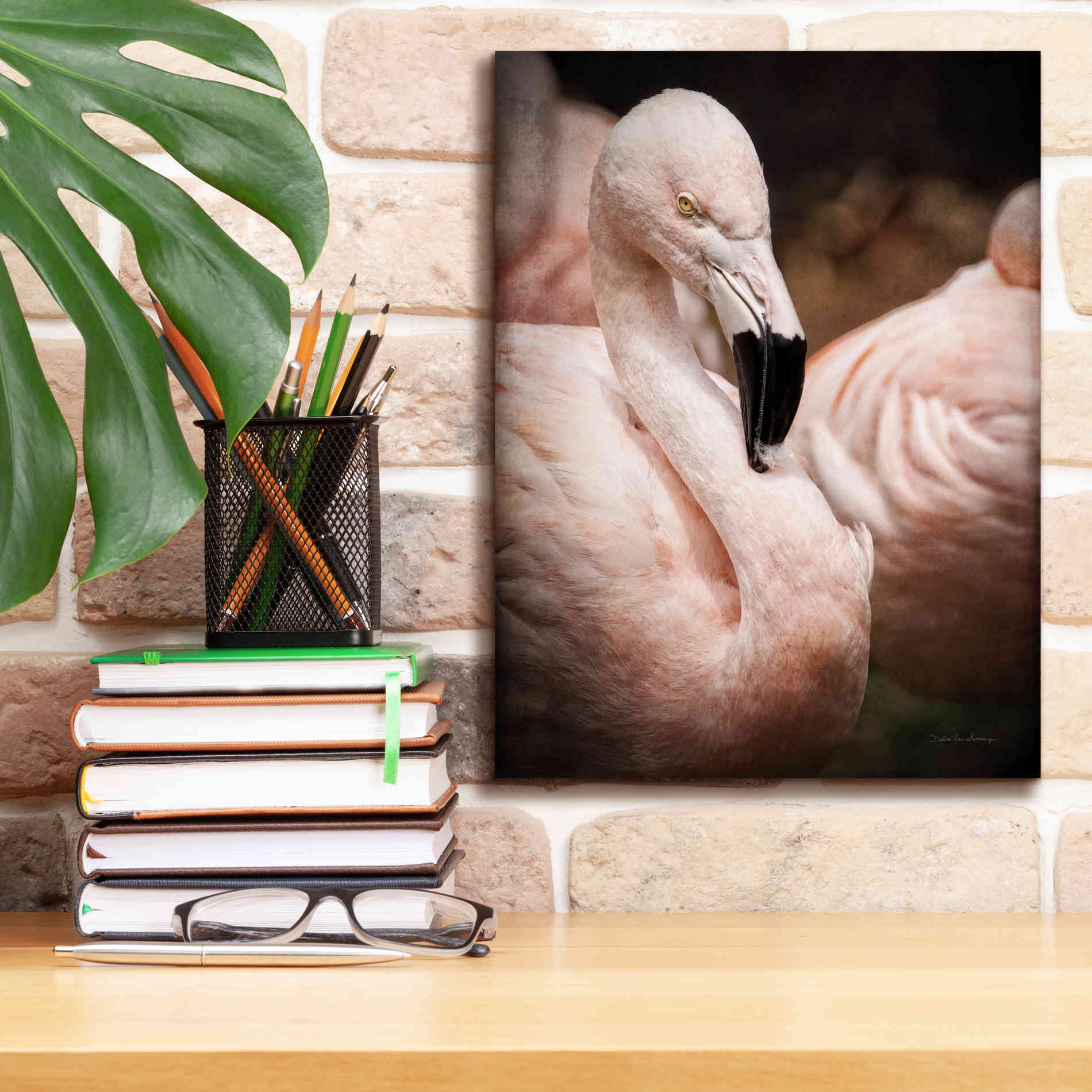 'Chilean Flamingo II' by Debra Van Swearingen, Canvas Wall Art,12 x 16