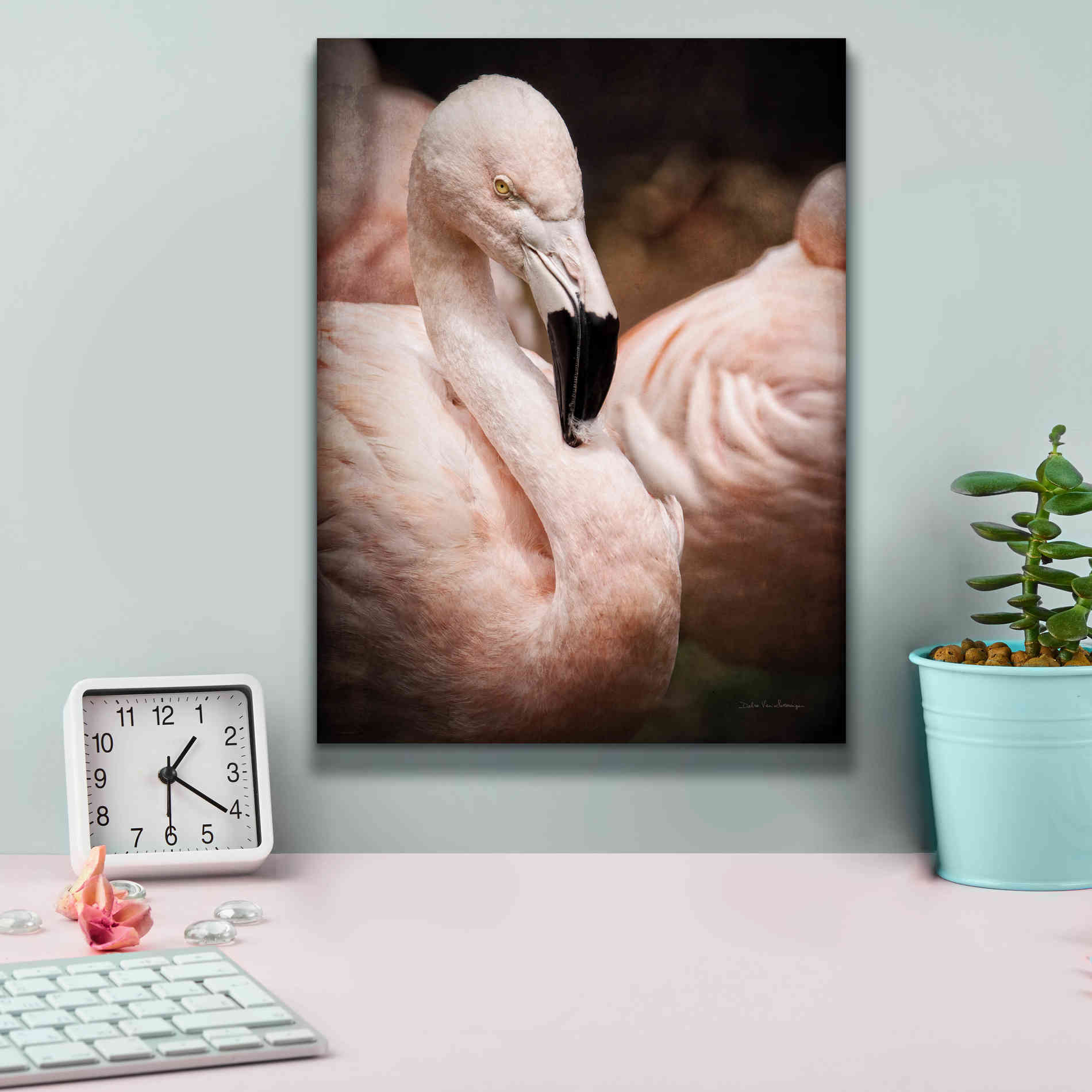 'Chilean Flamingo II' by Debra Van Swearingen, Canvas Wall Art,12 x 16