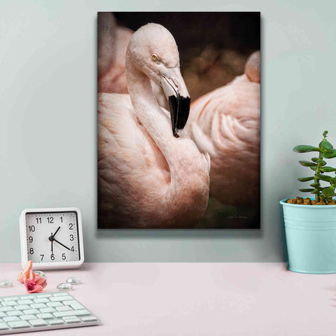 Image of 'Chilean Flamingo II' by Debra Van Swearingen, Canvas Wall Art,12 x 16