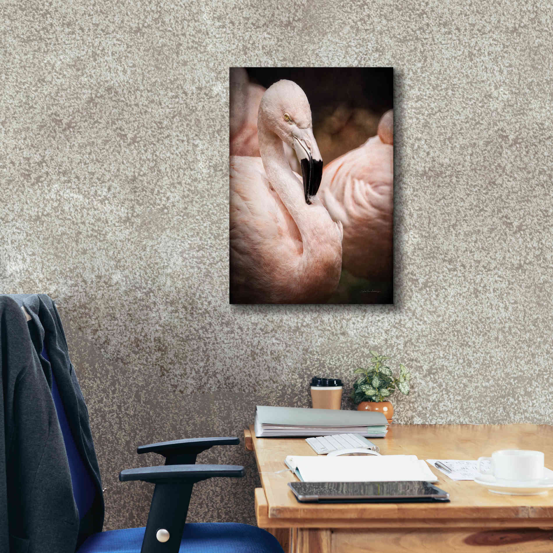 'Chilean Flamingo II' by Debra Van Swearingen, Canvas Wall Art,18 x 26