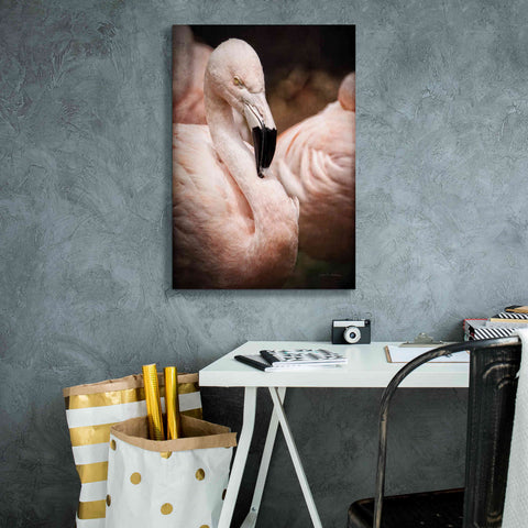 Image of 'Chilean Flamingo II' by Debra Van Swearingen, Canvas Wall Art,18 x 26