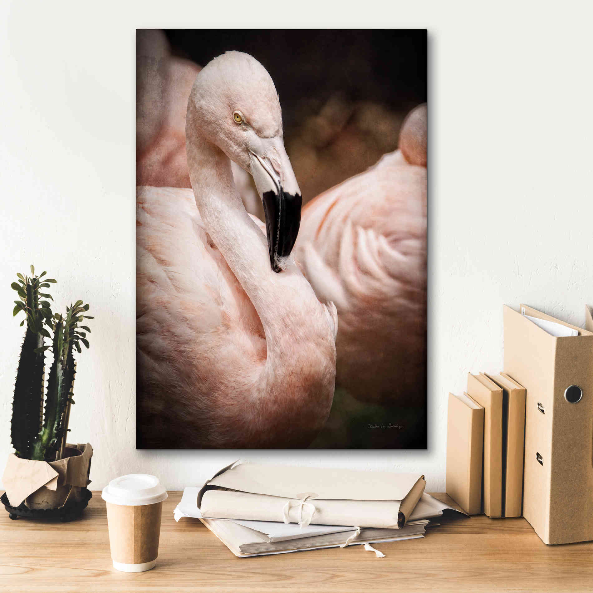 'Chilean Flamingo II' by Debra Van Swearingen, Canvas Wall Art,18 x 26
