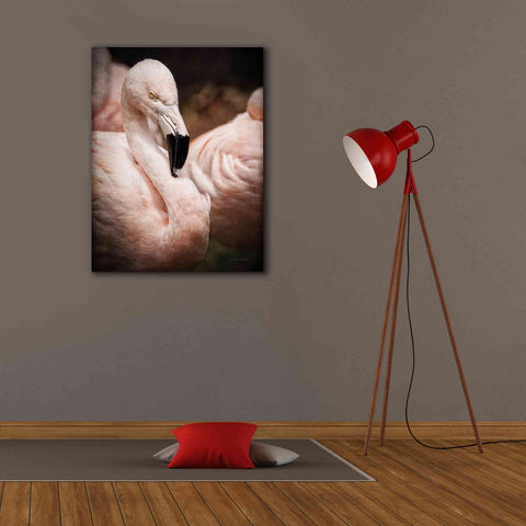 Image of 'Chilean Flamingo II' by Debra Van Swearingen, Canvas Wall Art,26 x 34