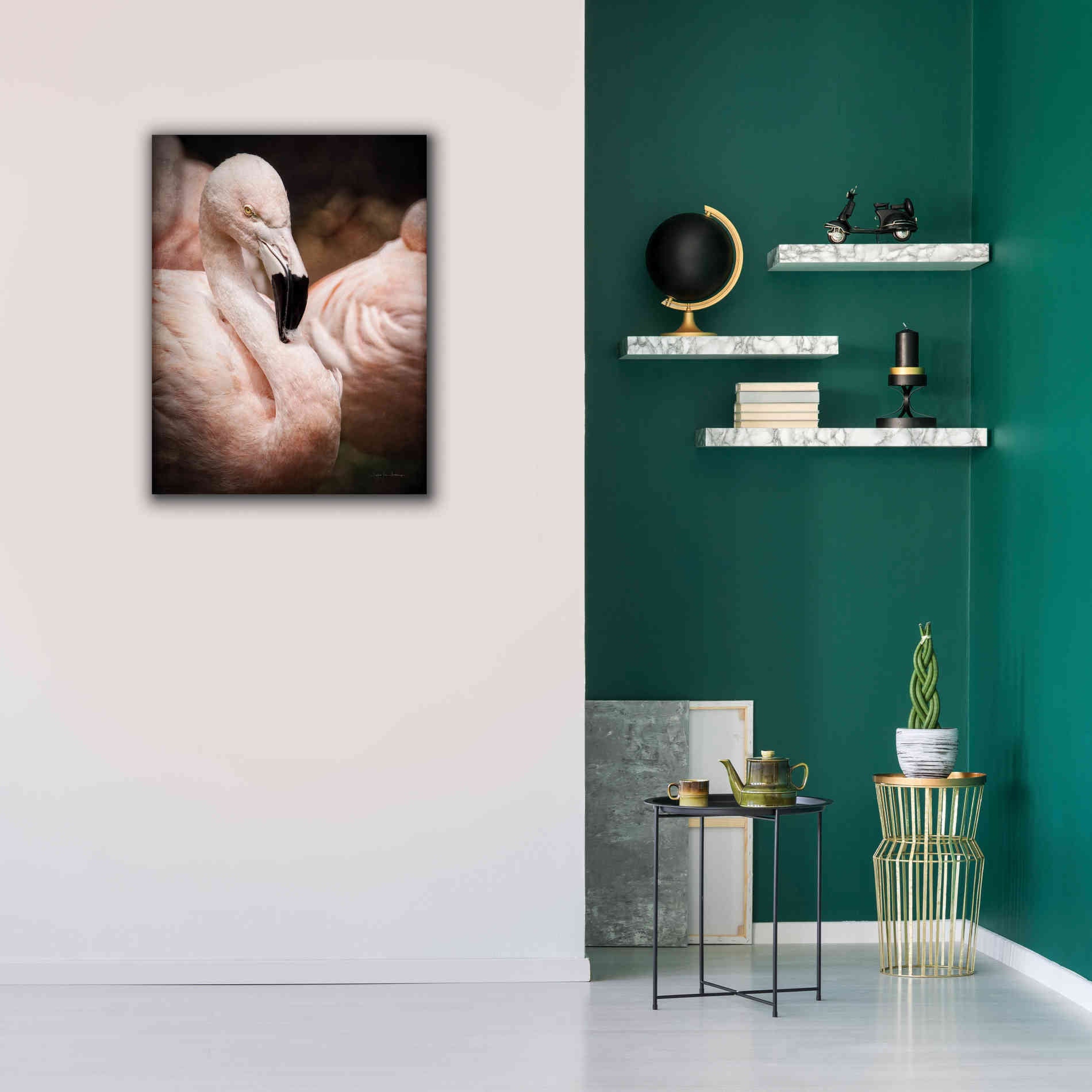 'Chilean Flamingo II' by Debra Van Swearingen, Canvas Wall Art,26 x 34