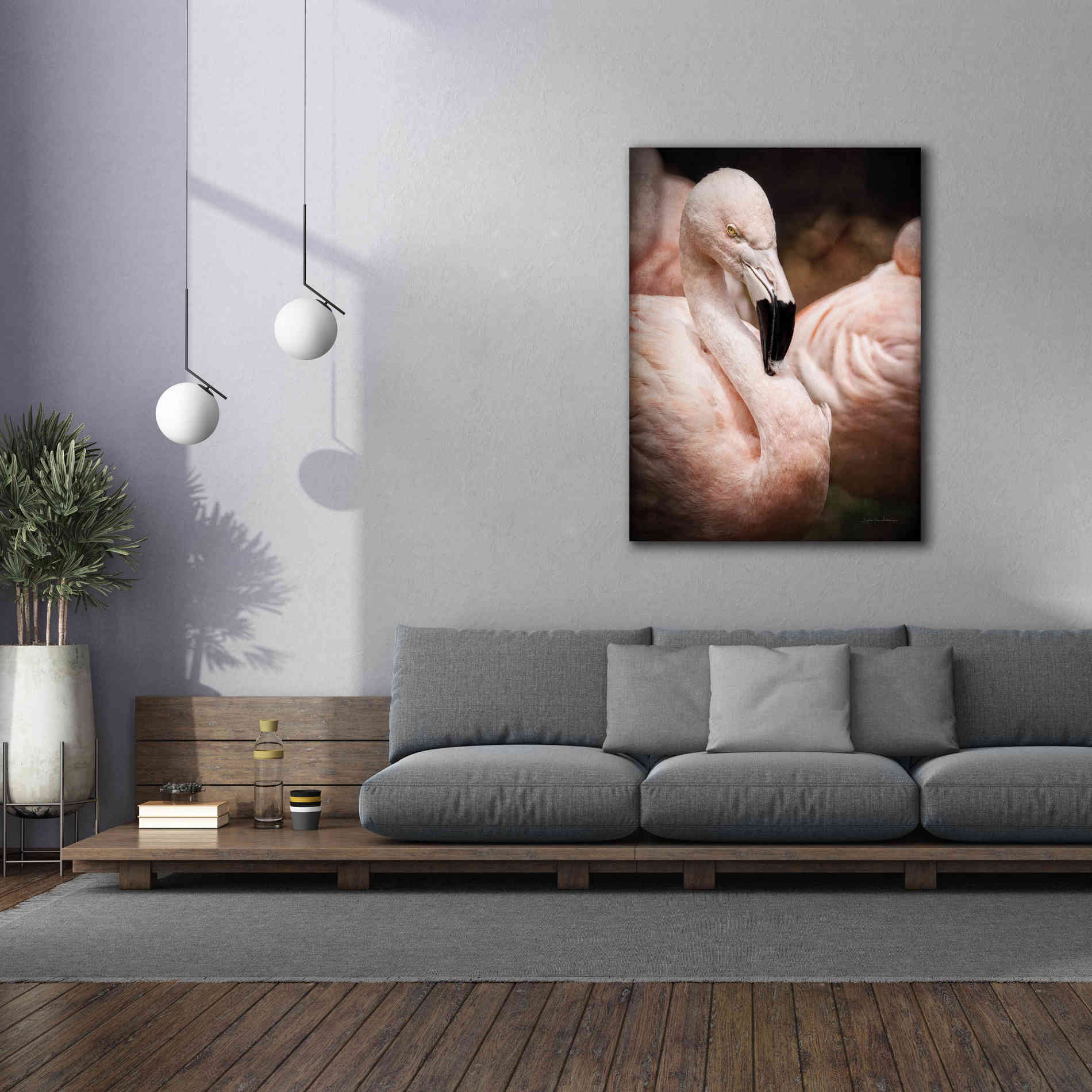 'Chilean Flamingo II' by Debra Van Swearingen, Canvas Wall Art,40 x 54