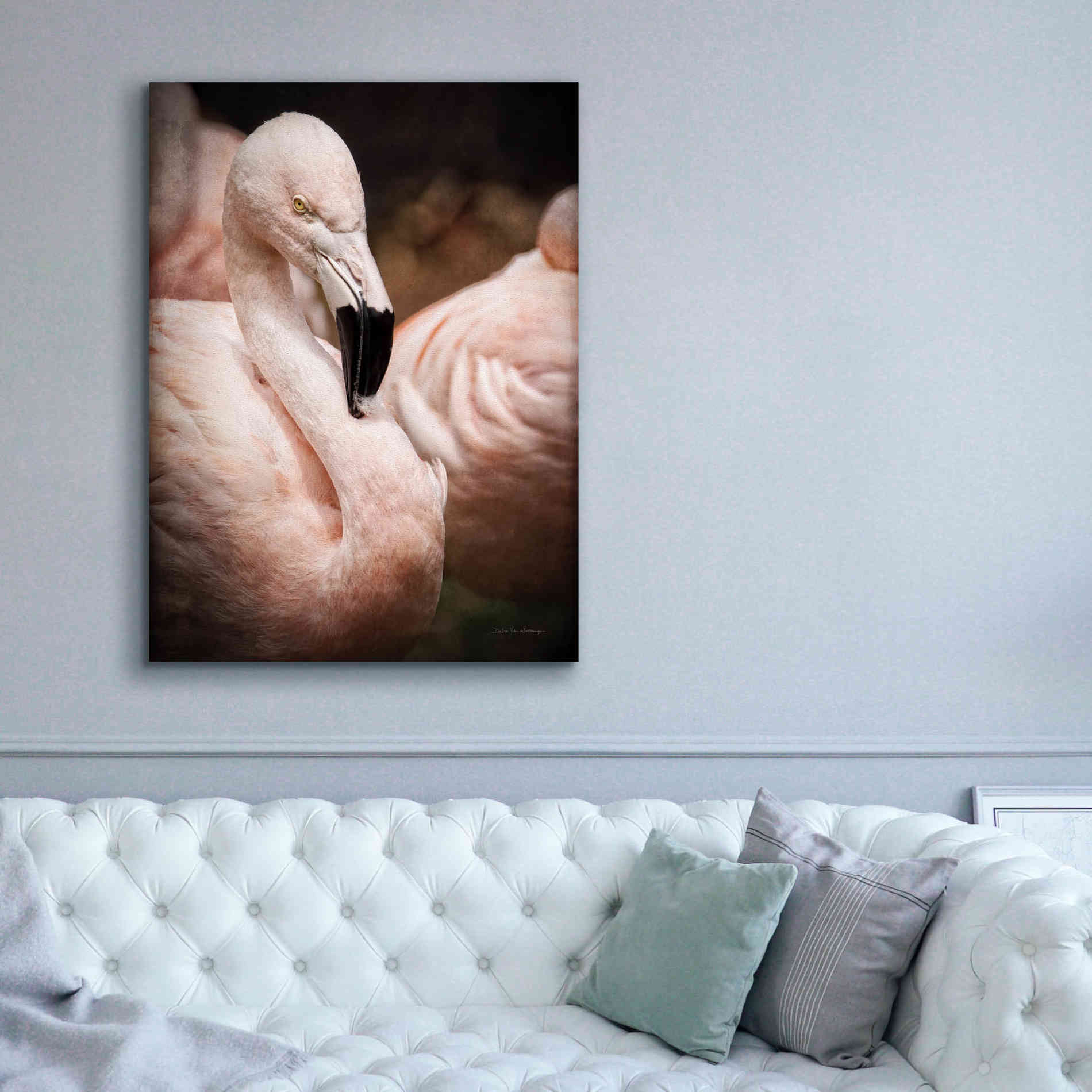 'Chilean Flamingo II' by Debra Van Swearingen, Canvas Wall Art,40 x 54