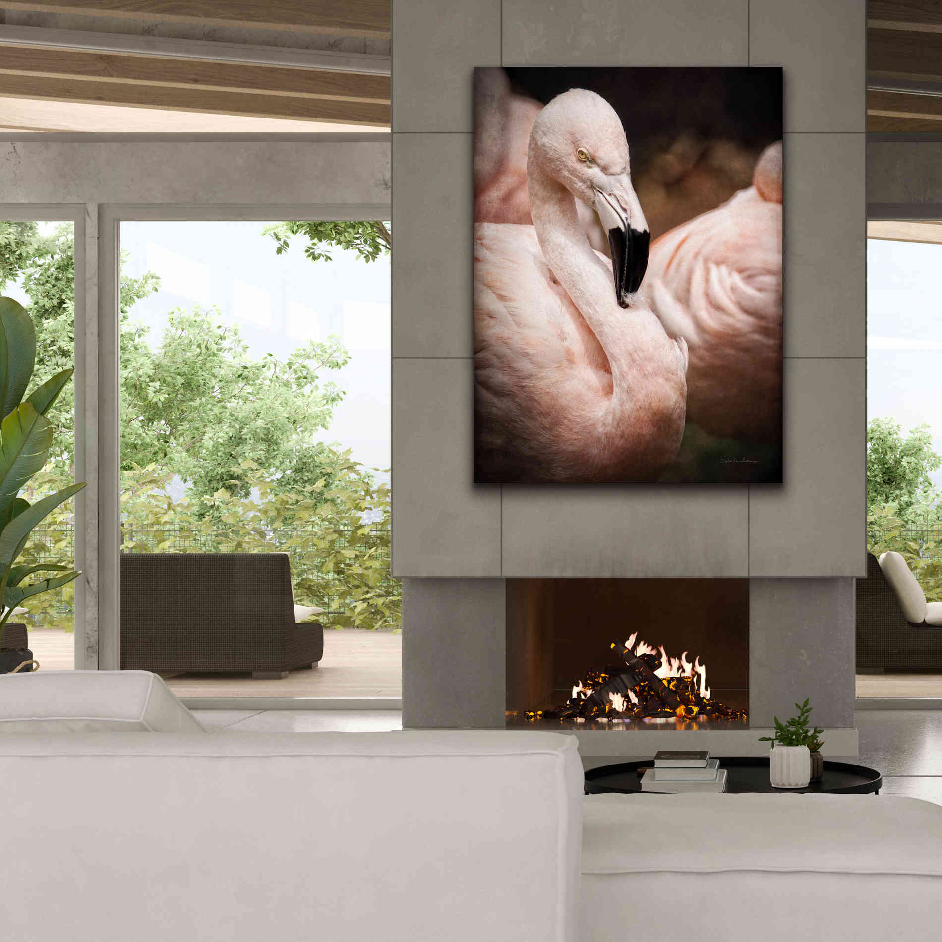 'Chilean Flamingo II' by Debra Van Swearingen, Canvas Wall Art,40 x 54