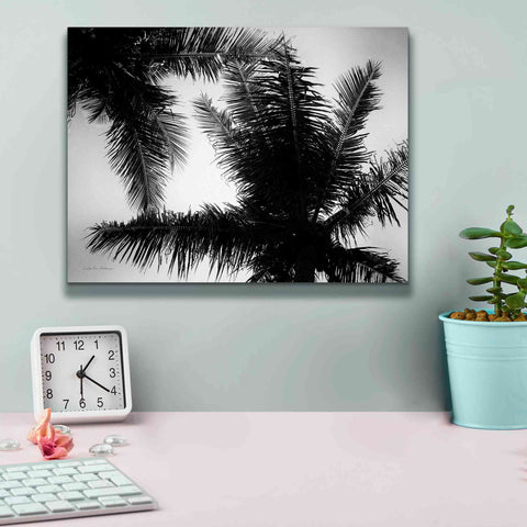 Image of 'Palm Tree Looking Up I' by Debra Van Swearingen, Canvas Wall Art,16 x 12