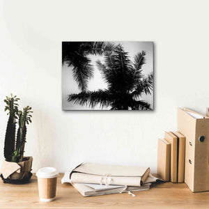 'Palm Tree Looking Up I' by Debra Van Swearingen, Canvas Wall Art,16 x 12