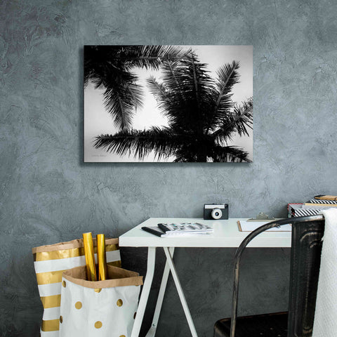Image of 'Palm Tree Looking Up I' by Debra Van Swearingen, Canvas Wall Art,26 x 18