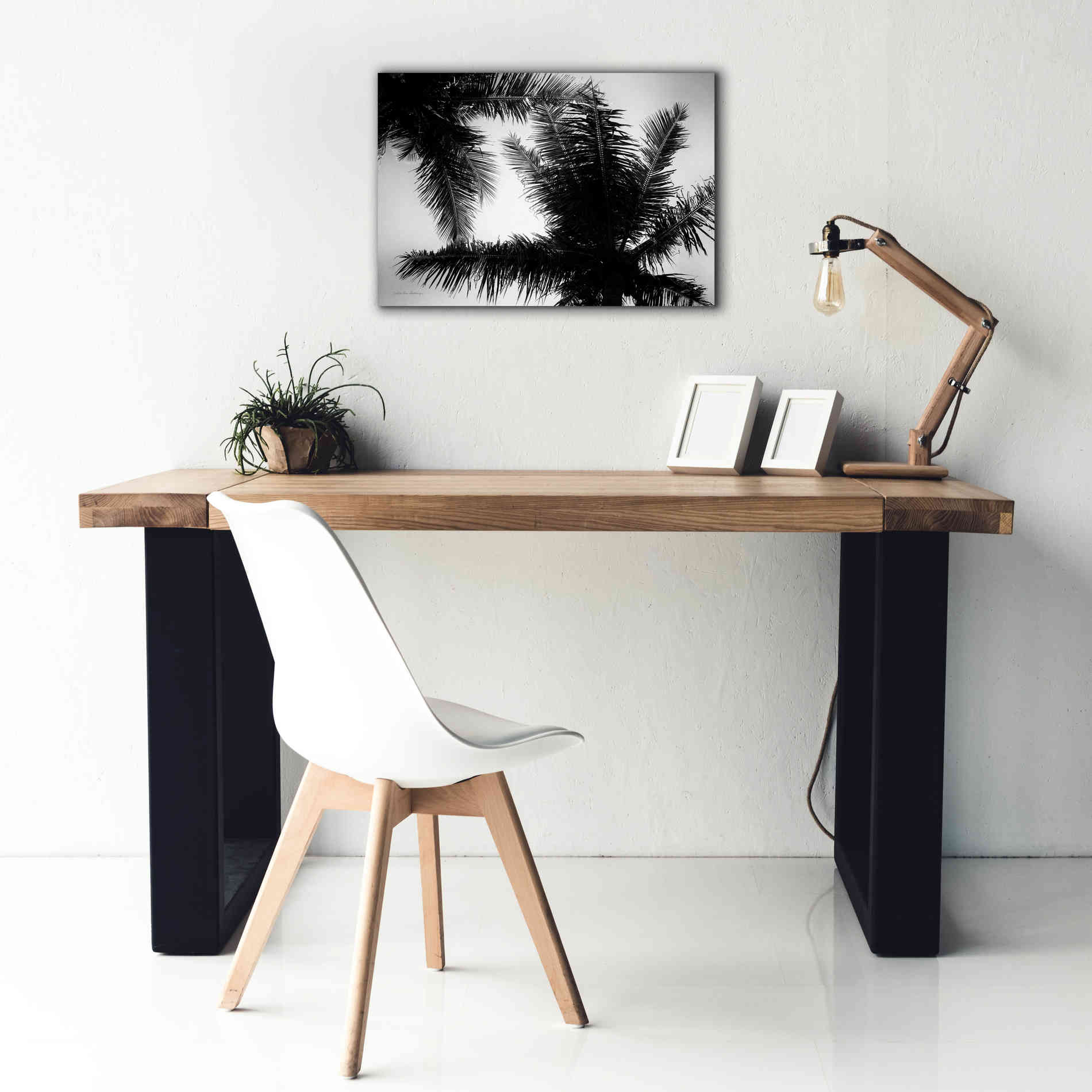 'Palm Tree Looking Up I' by Debra Van Swearingen, Canvas Wall Art,26 x 18