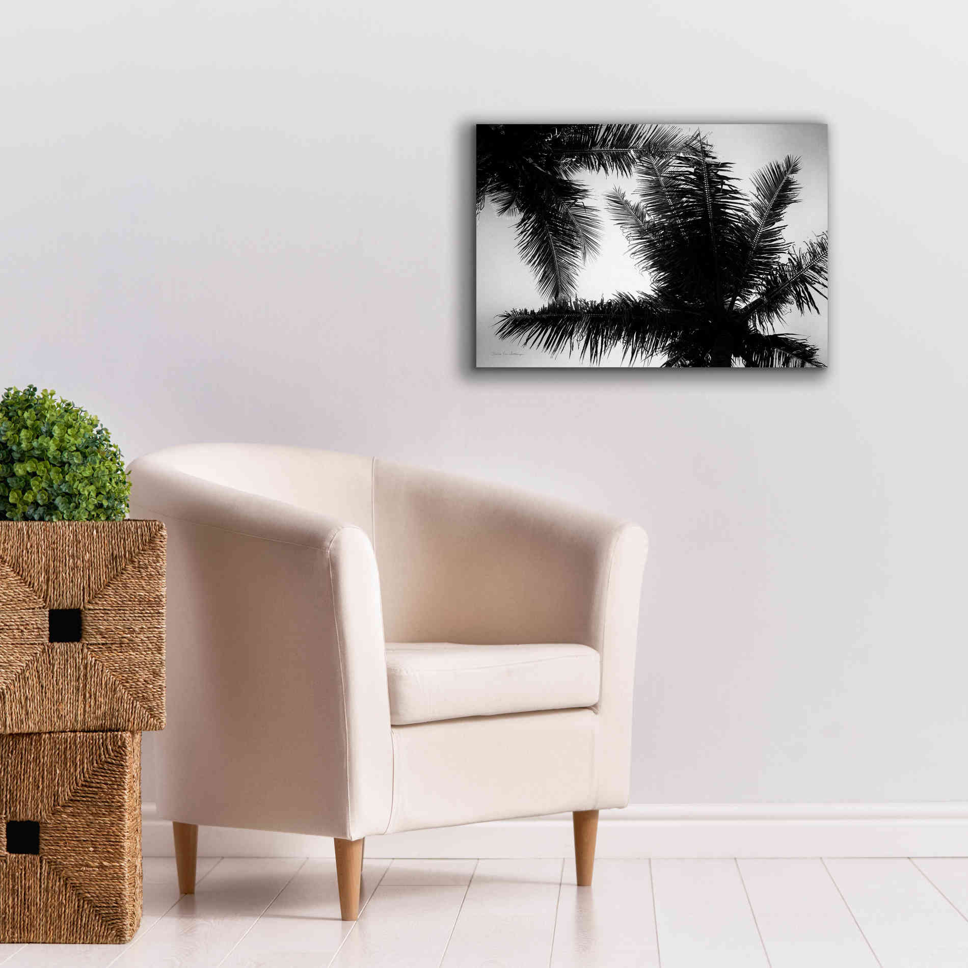'Palm Tree Looking Up I' by Debra Van Swearingen, Canvas Wall Art,26 x 18