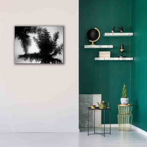 'Palm Tree Looking Up I' by Debra Van Swearingen, Canvas Wall Art,34 x 26