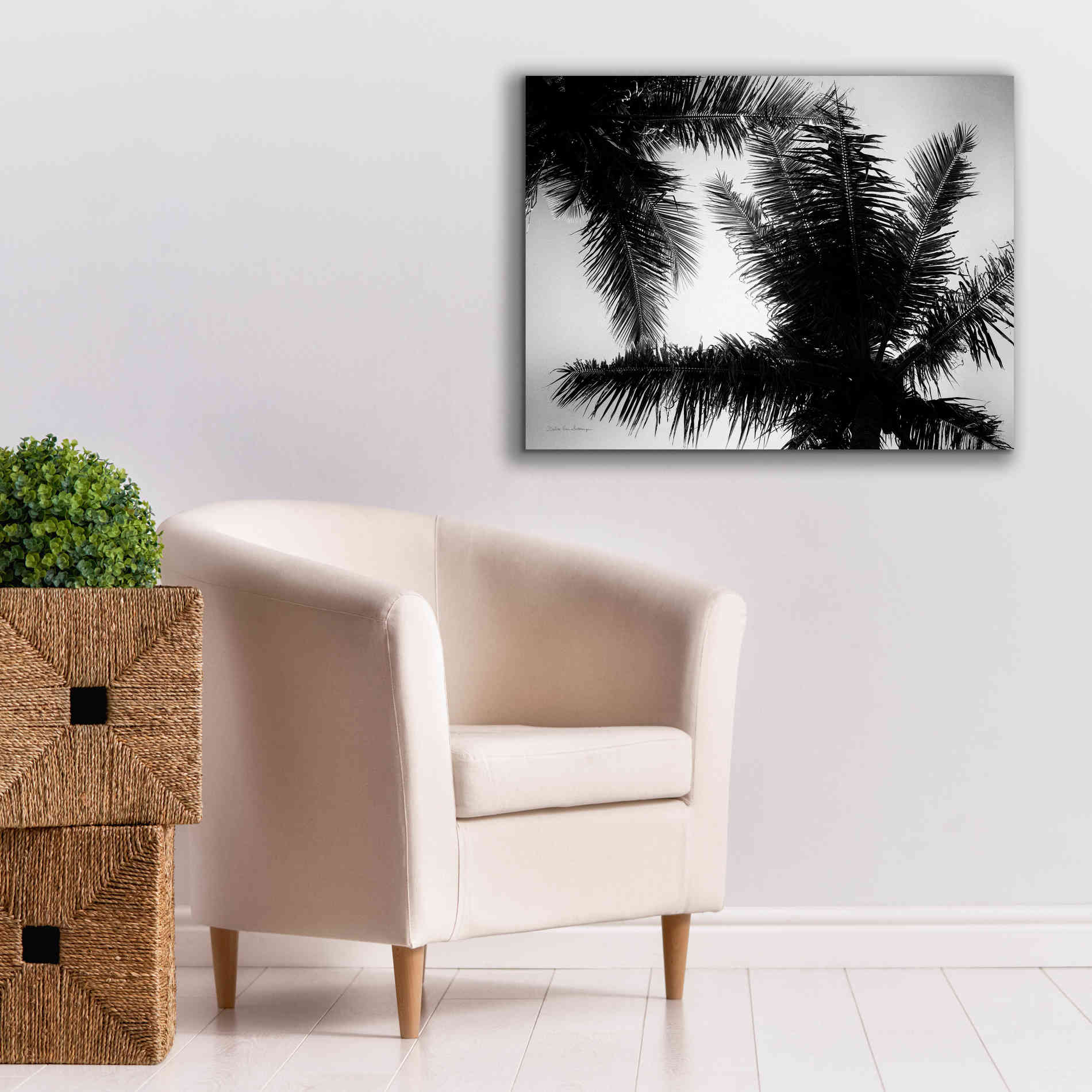 'Palm Tree Looking Up I' by Debra Van Swearingen, Canvas Wall Art,34 x 26
