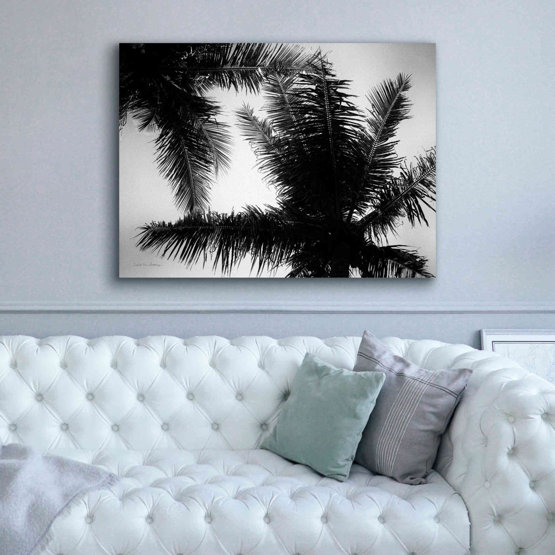 'Palm Tree Looking Up I' by Debra Van Swearingen, Canvas Wall Art,54 x 40