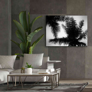 'Palm Tree Looking Up I' by Debra Van Swearingen, Canvas Wall Art,54 x 40