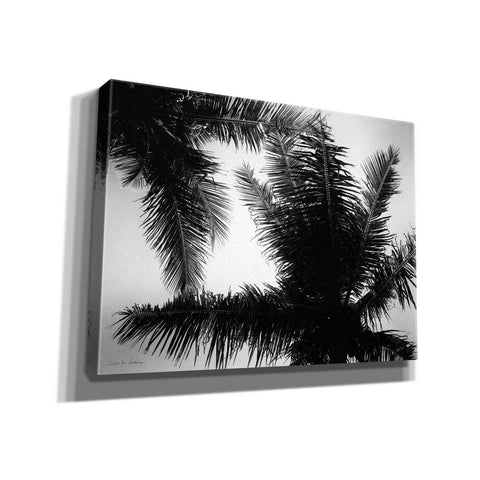 Image of 'Palm Tree Looking Up I' by Debra Van Swearingen, Canvas Wall Art,16x12x1.1x0,26x18x1.1x0,34x26x1.74x0,54x40x1.74x0